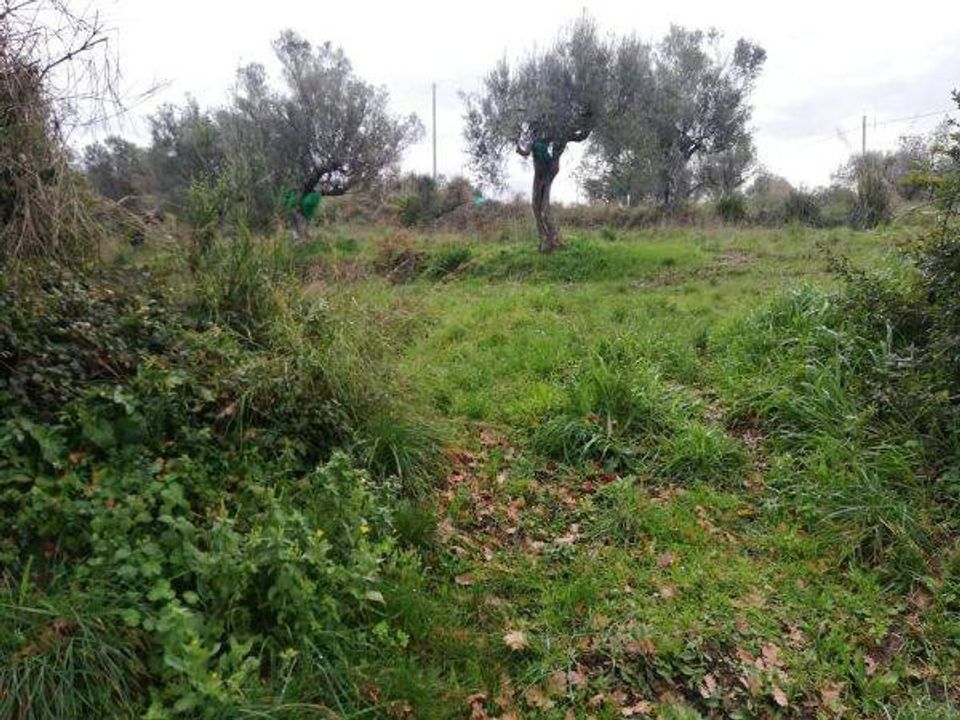 Landejendom i Agropoli, Salerno - foto 3