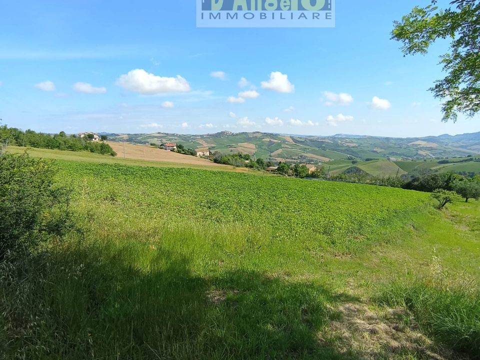 Helårsgrund i Offida, Ascoli Piceno - foto 3