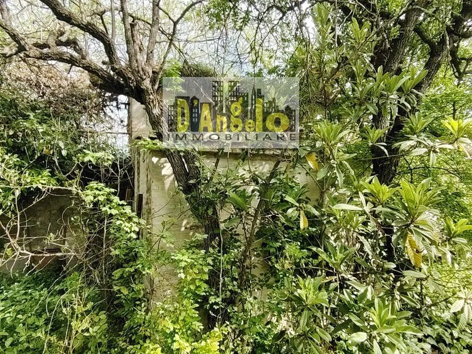 Herregård i Petritoli, Fermo - bilde 5