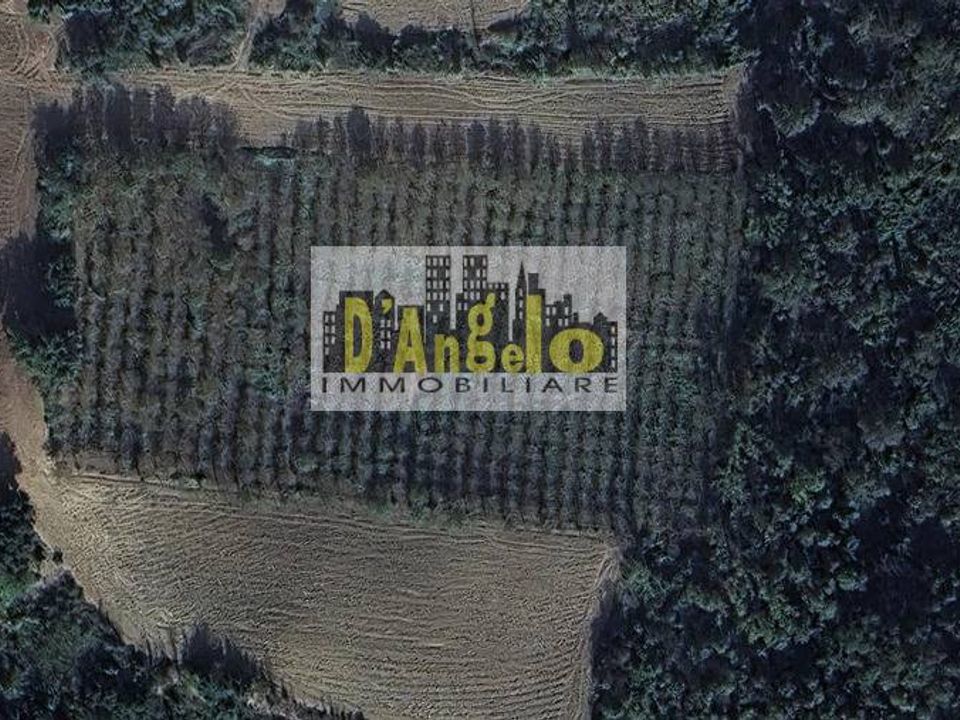 Helårsgrund i Offida, Ascoli Piceno - foto 2