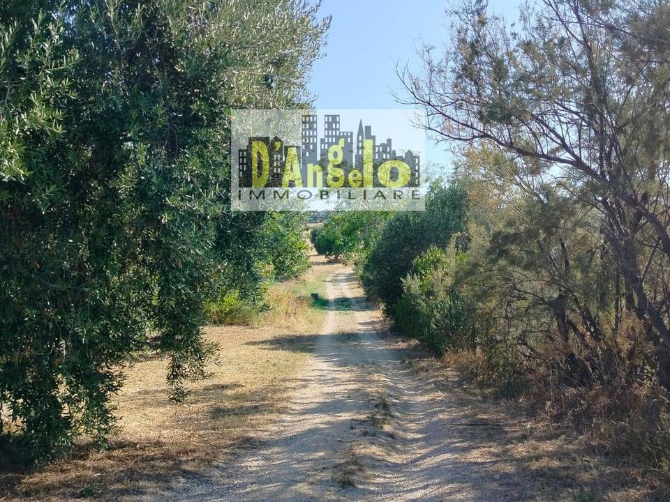 Landejendom i Offida, Ascoli Piceno - foto 2
