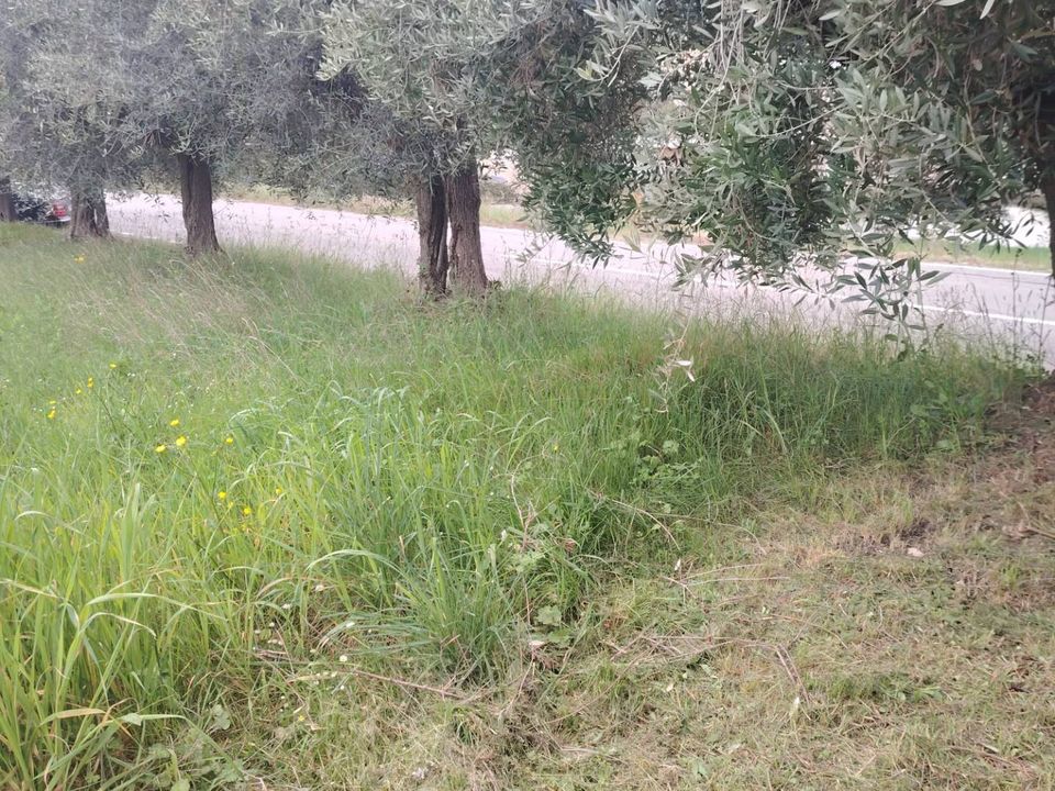 Landejendom i Offida, Ascoli Piceno - foto 3
