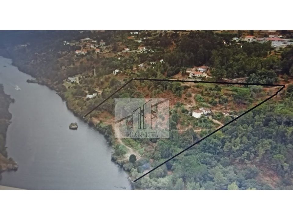 Farm i Marco de Canaveses, Porto - foto 3