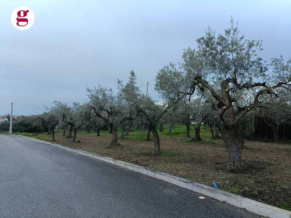 Helårsgrund i Vasto, Chieti - foto 1