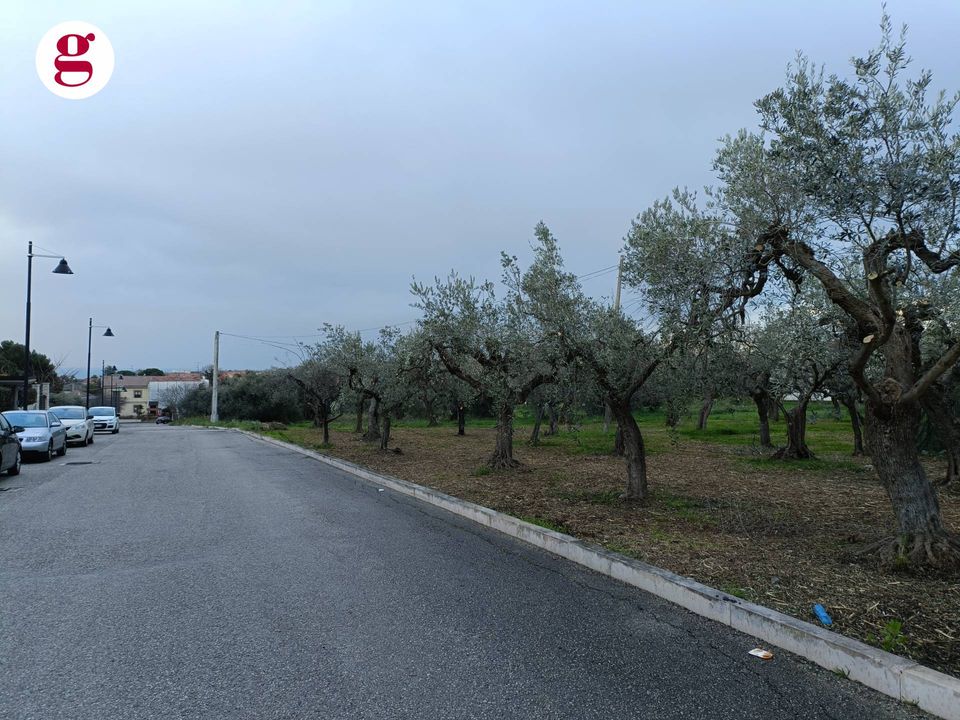 Helårsgrund i Vasto, Chieti - foto 2