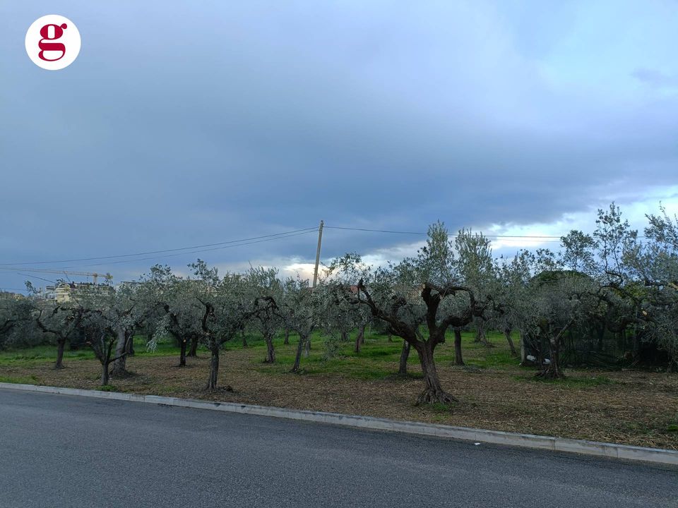 Helårsgrund i Vasto, Chieti - foto 3