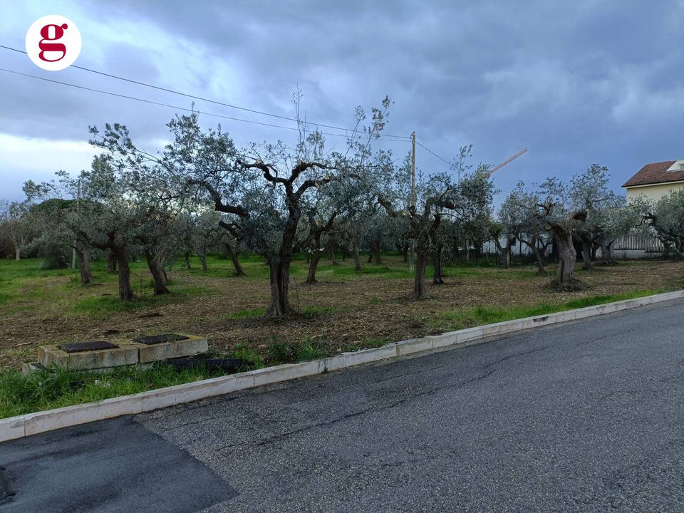 Helårsgrund i Vasto, Chieti - foto 4