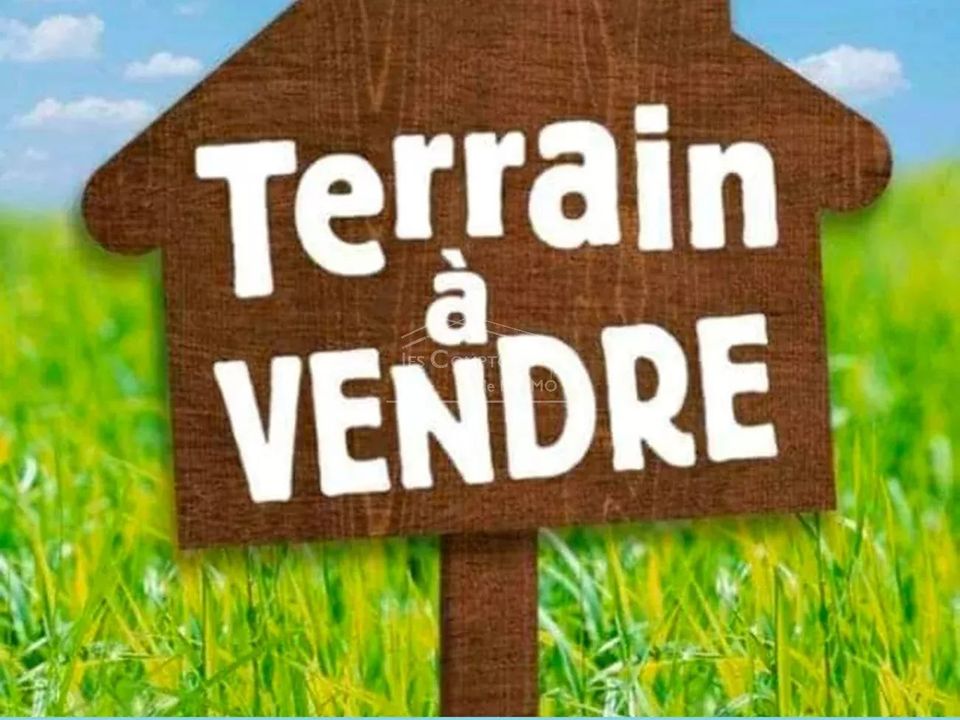 Helårsgrund i Donges, Loire-Atlantique - foto 1