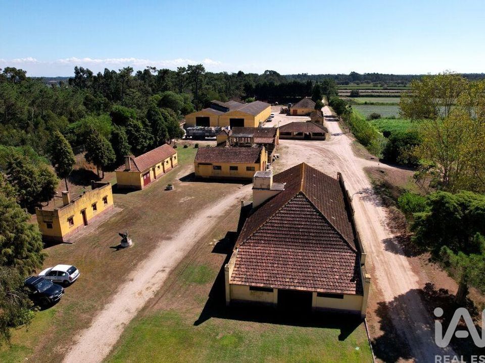 Byhus i Ilhavo, Aveiro - foto 2