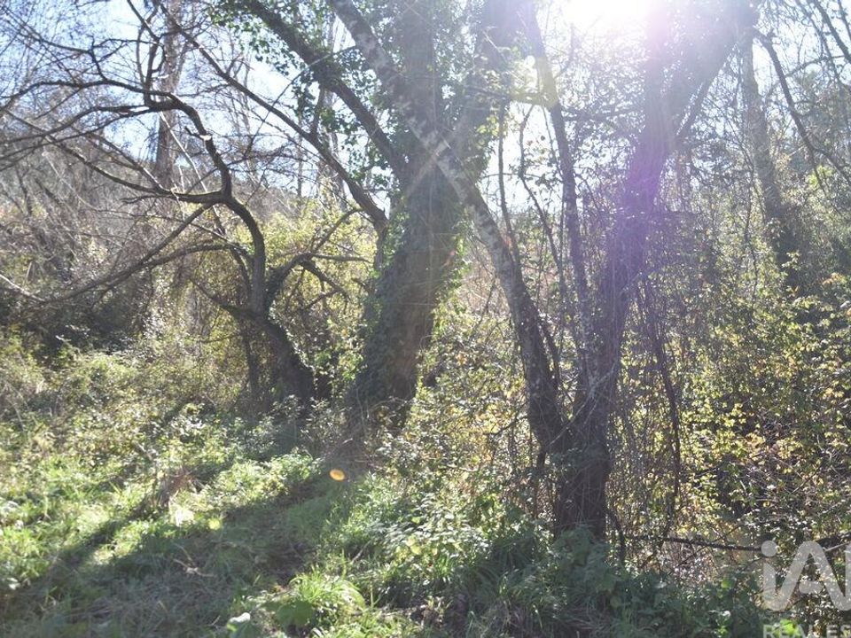Helårsgrund i Ourem, Santarem - foto 3