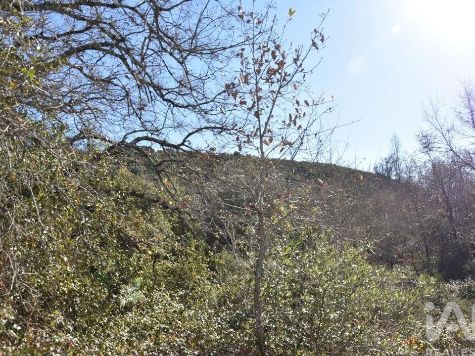 Helårsgrund i Ourem, Santarem - foto 5