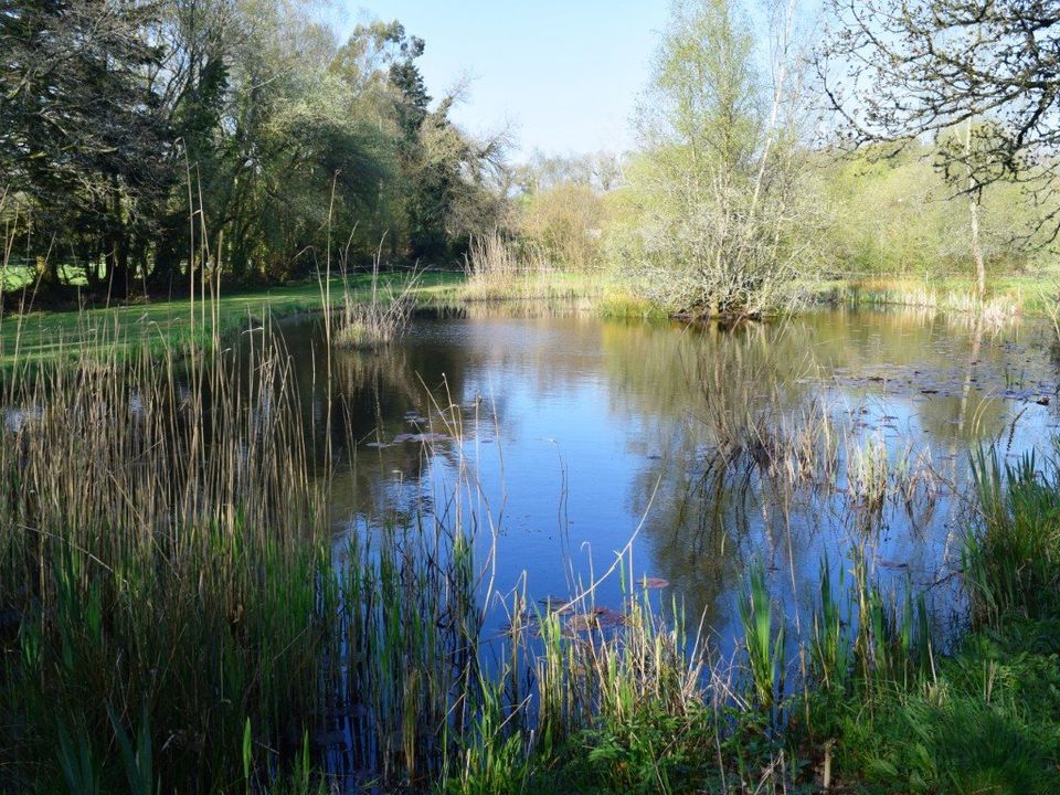 Villa i Langoelan, Morbihan - foto 4