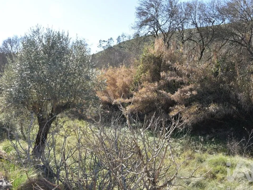 Helårsgrund i Ourem, Santarem - foto 1