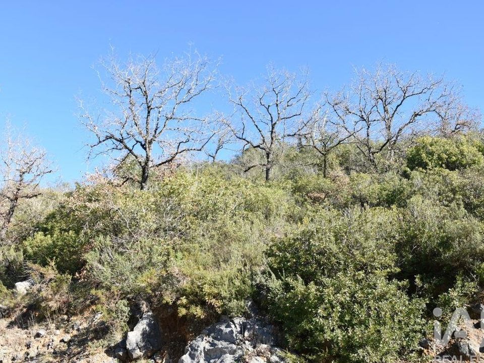 Helårsgrund i Ourem, Santarem - foto 3