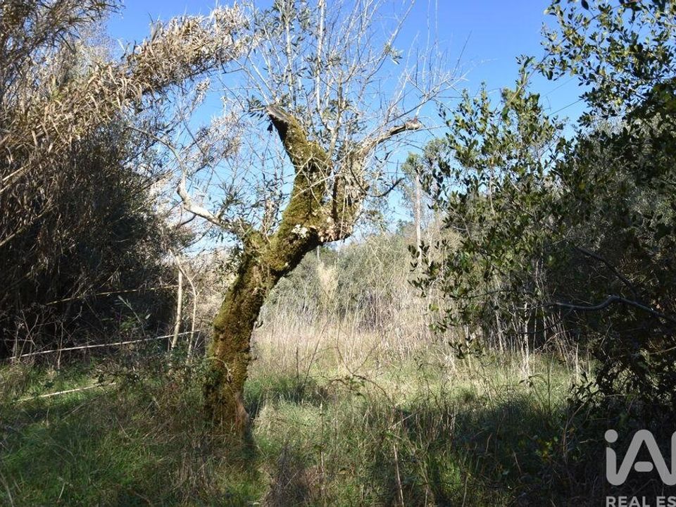 Helårsgrund i Ourem, Santarem - foto 4