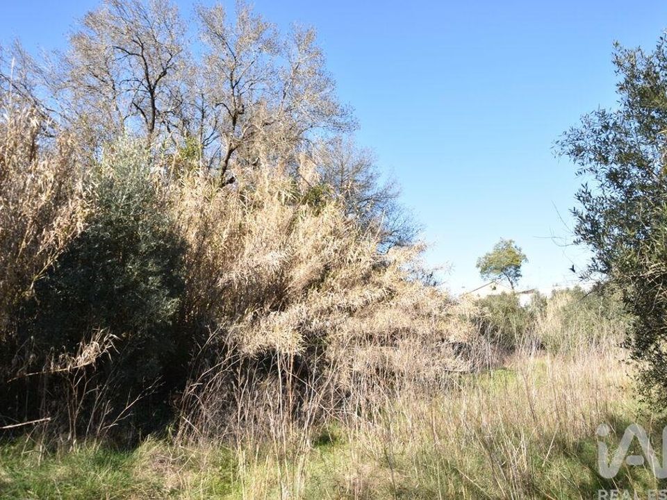 Helårsgrund i Ourem, Santarem - foto 5