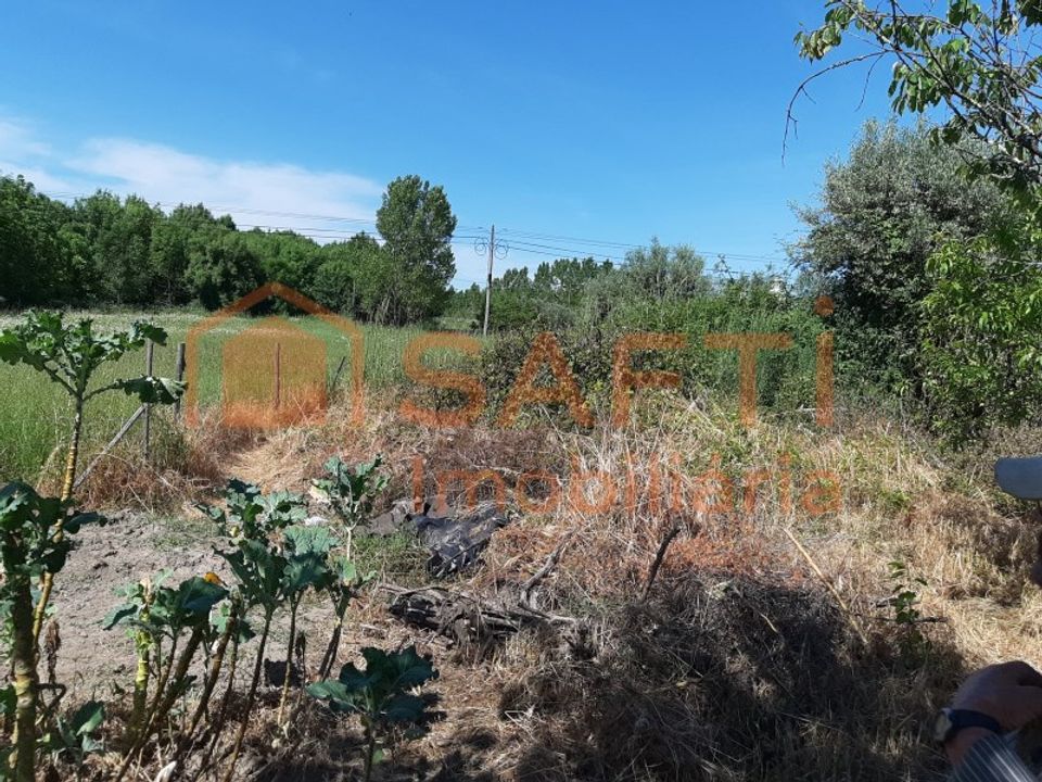 Helårsgrund i Canas de Senhorim, Viseu - foto 1
