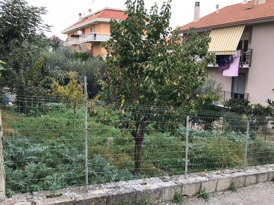Tomt i San Benedetto Del Tronto, Ascoli Piceno - bilde 2