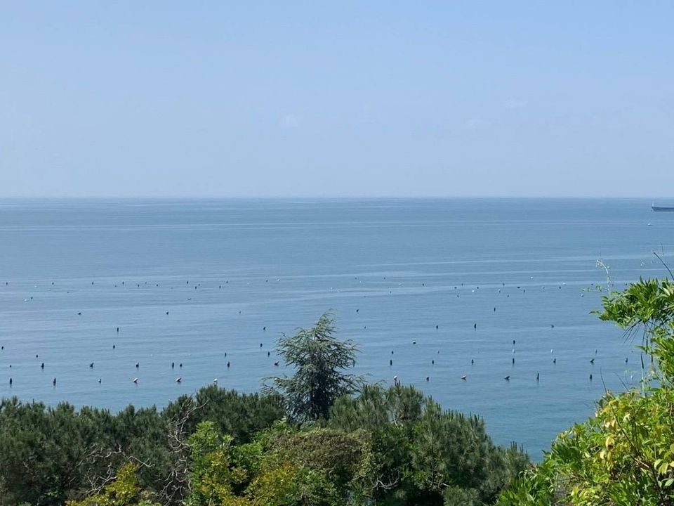 Villa i Trieste, Trieste - foto 3