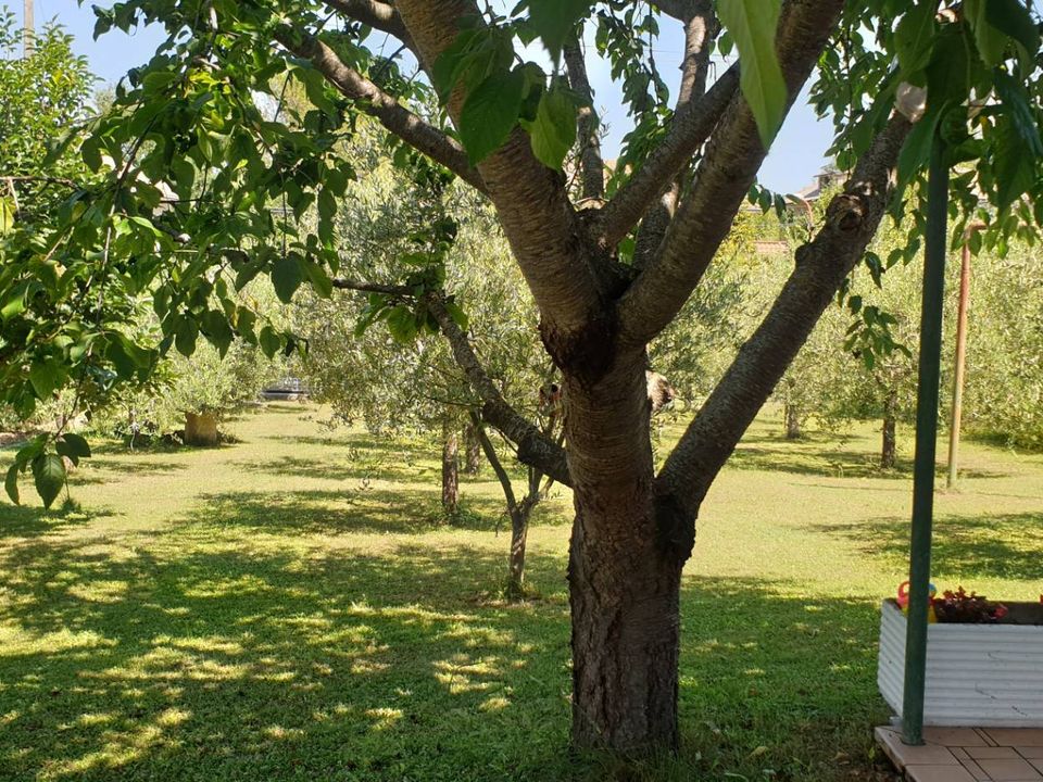 Villa i Venarotta, Ascoli Piceno - foto 2