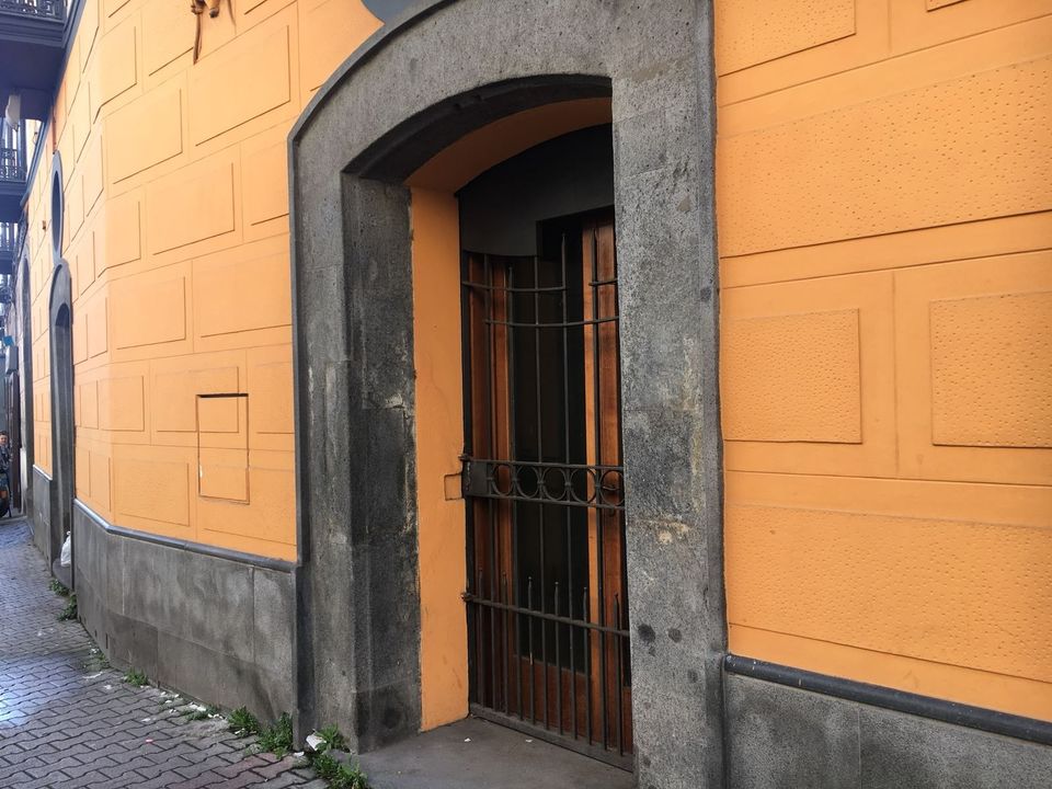 Erhvervsejendom i Ottaviano, Naples - foto 4