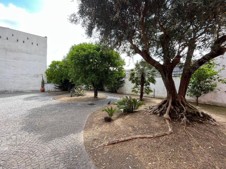 Villa i Ottaviano, Naples - foto 3