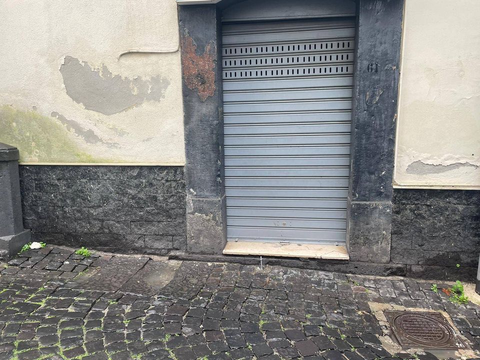 Erhvervsejendom i Ottaviano, Naples - foto 1