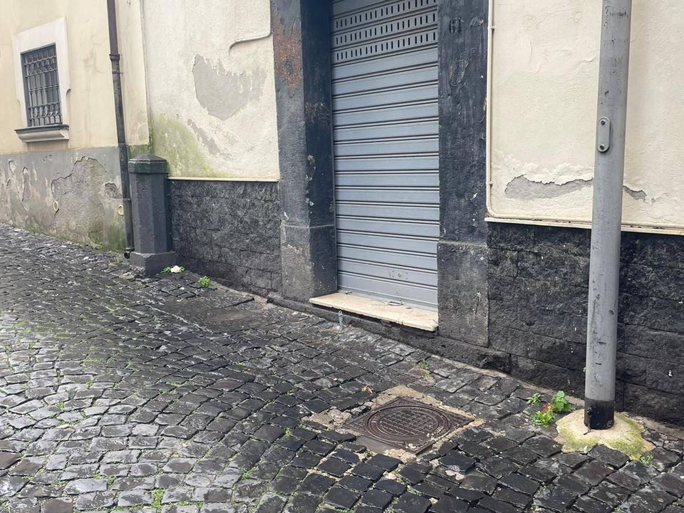 Erhvervsejendom i Ottaviano, Naples - foto 3