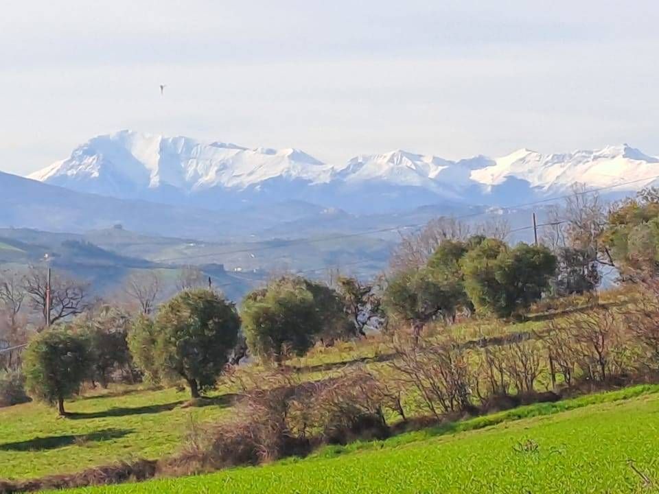 Helårsgrund i Massignano, Ascoli Piceno - foto 1