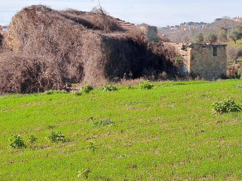 Helårsgrund i Massignano, Ascoli Piceno - foto 2