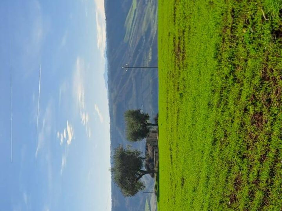 Helårsgrund i Massignano, Ascoli Piceno - foto 5