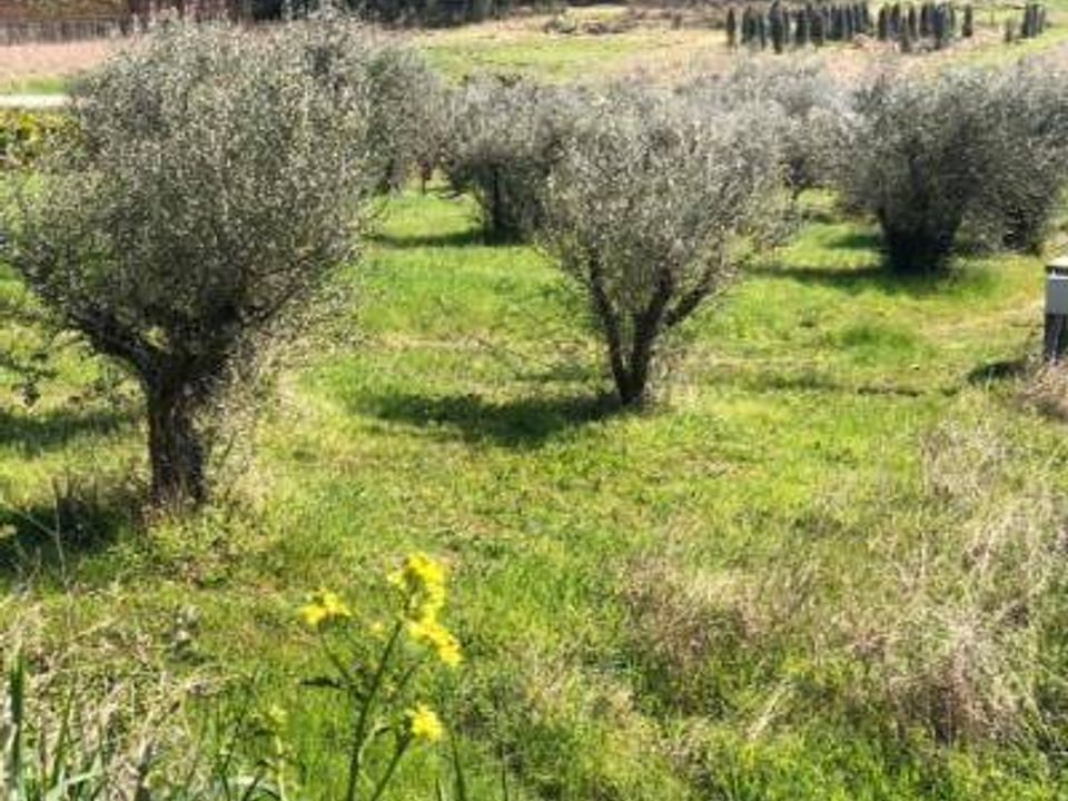 Herregård i Massignano, Ascoli Piceno - bilde 3