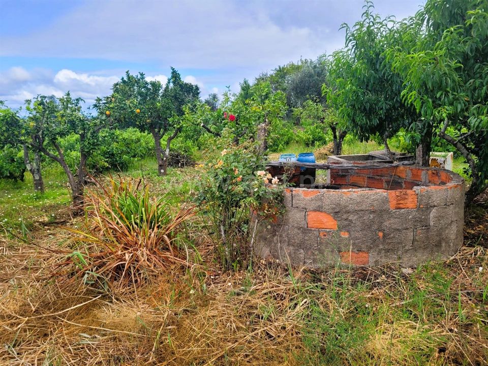 Villa i Ferreira do Zezere, Santarem - foto 3