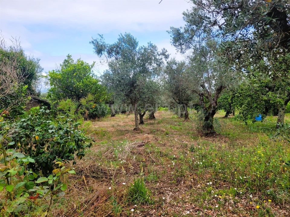 Villa i Ferreira do Zezere, Santarem - foto 5