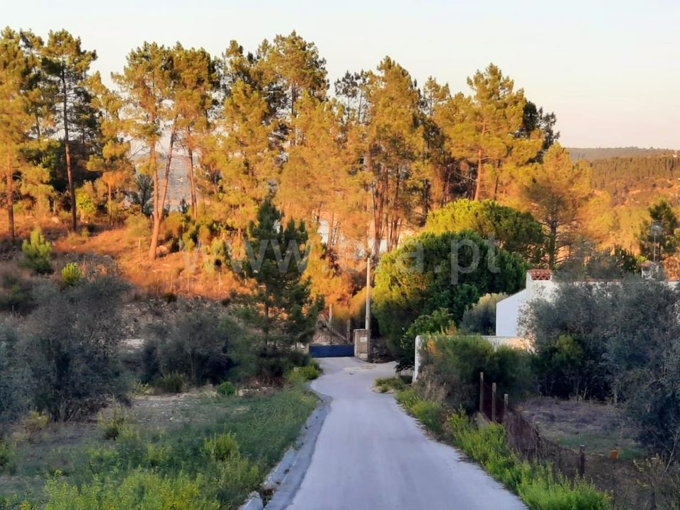 Helårsgrund i Tomar, Santarem - foto 2