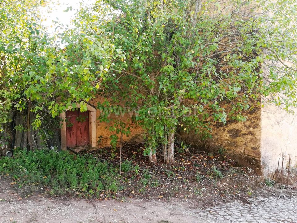 Villa i Ferreira do Zezere, Santarem - foto 3