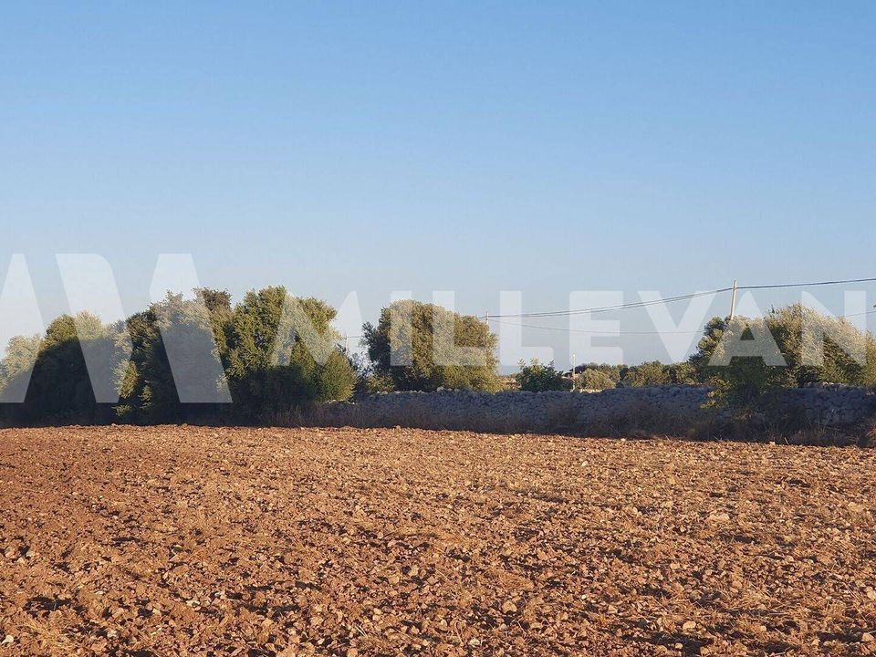 Tomt i Rosolini, Siracusa - bilde 2