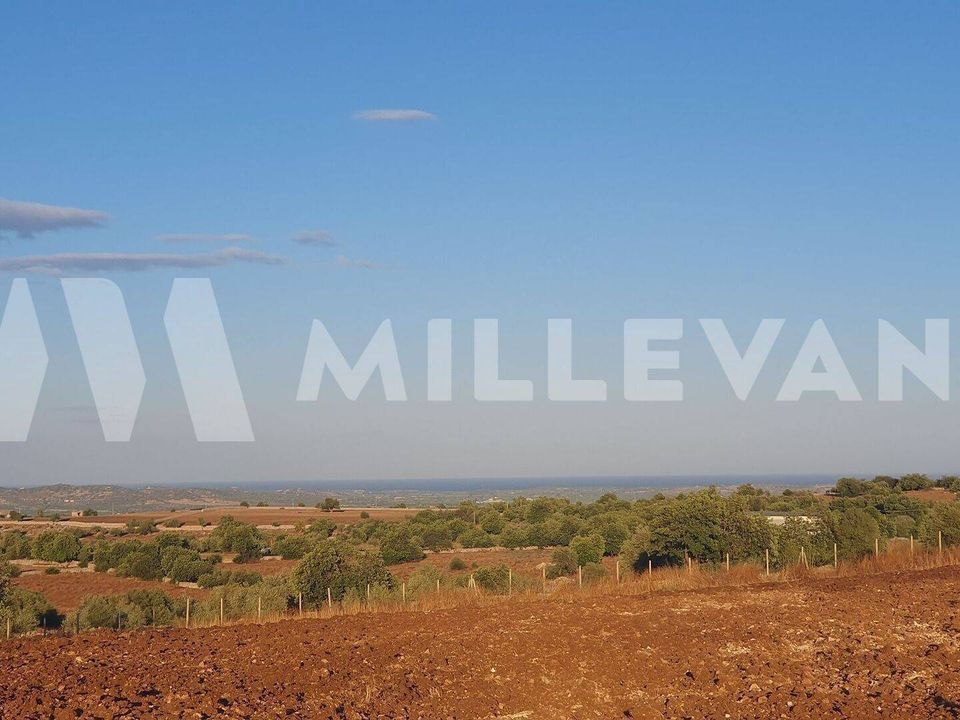 Tomt i Rosolini, Siracusa - bilde 4