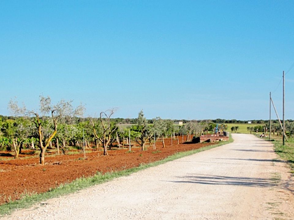 Farm i Latiano, Brindisi - foto 4