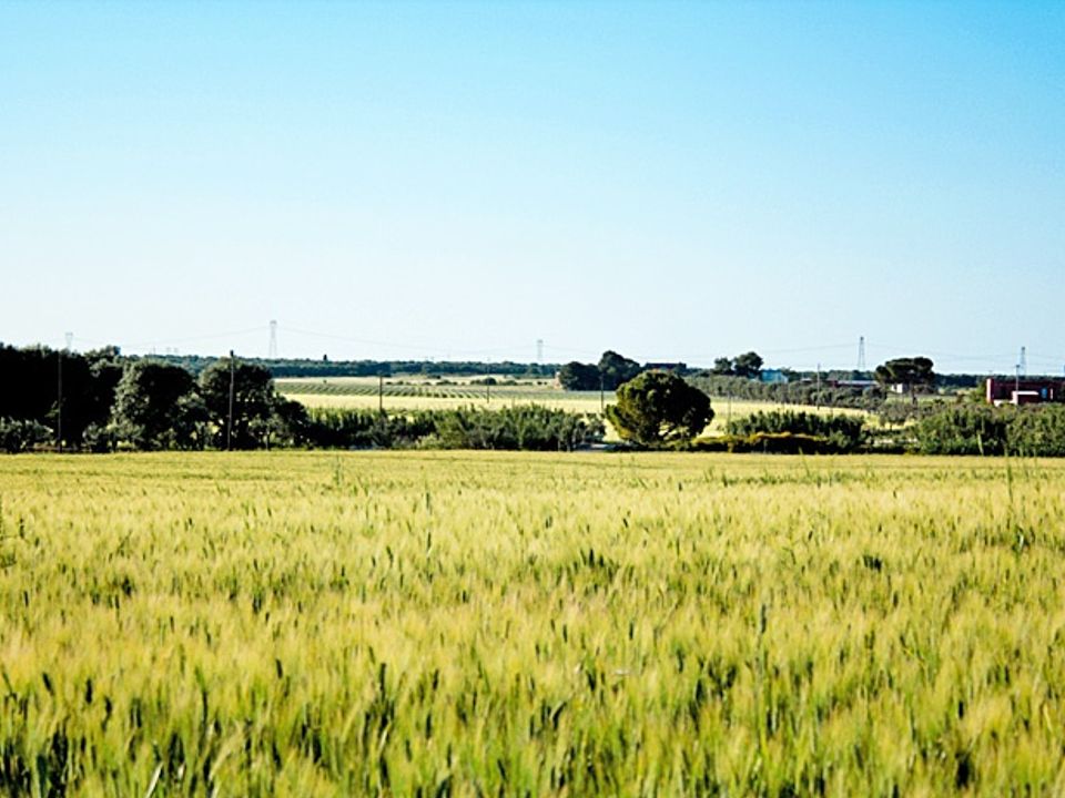 Farm i Latiano, Brindisi - foto 5