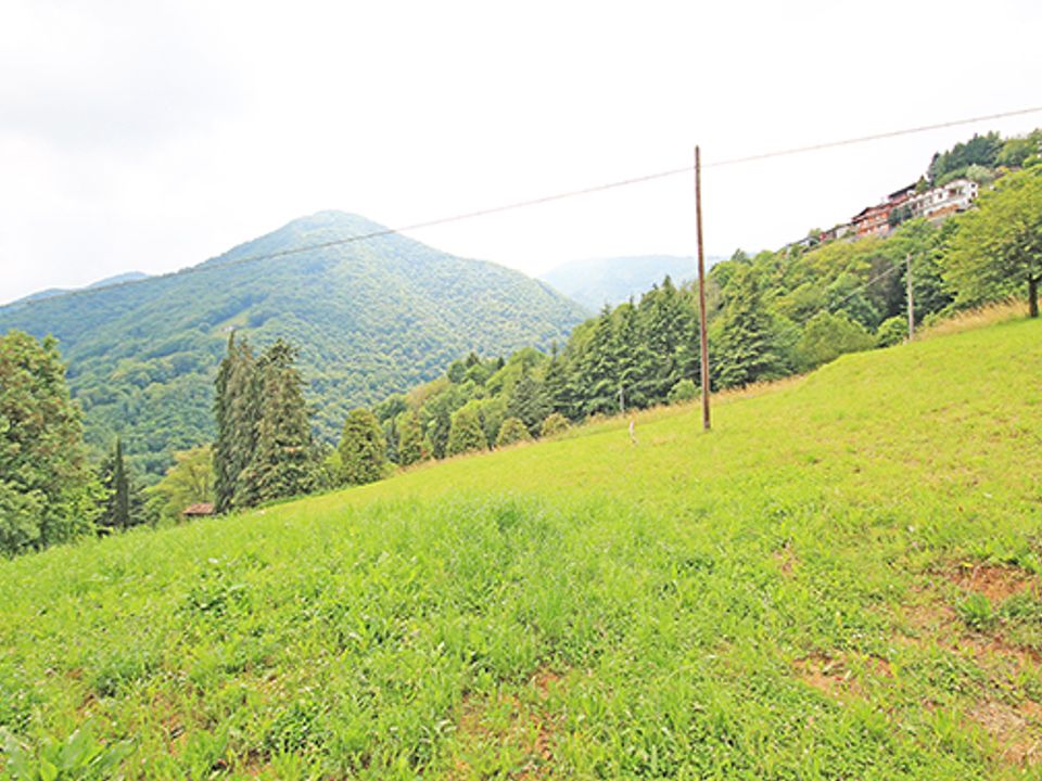 Terra a Gazzaniga, Bergamo - foto 2