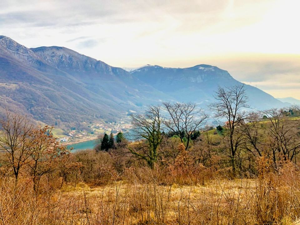 Terra a Ranzanico, Bergamo - foto 5