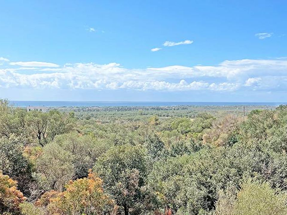 Villa a Manduria, Taranto - foto 4