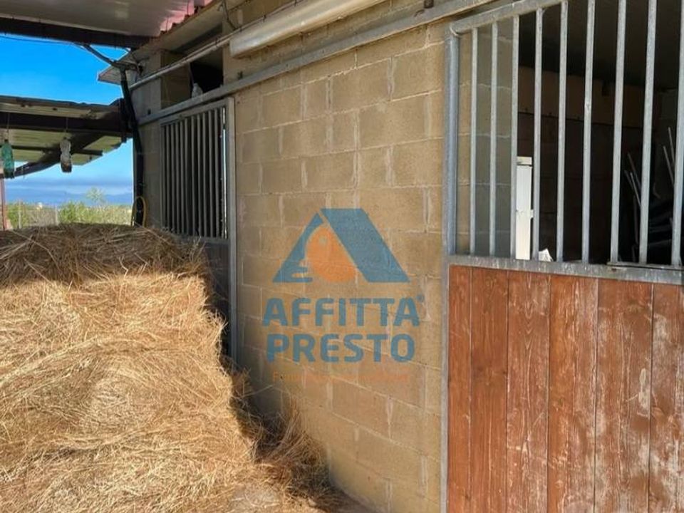 Helårsgrund i Montopoli in Val d'Arno, Pisa - foto 2