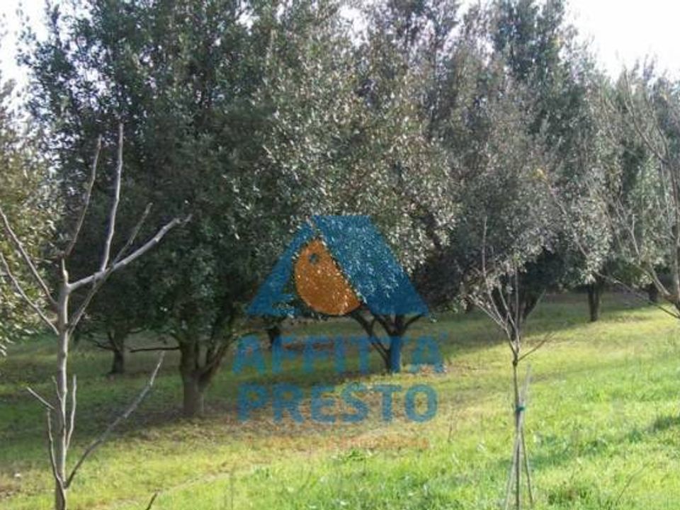 Tomt i Empoli, Florence - bilde 3