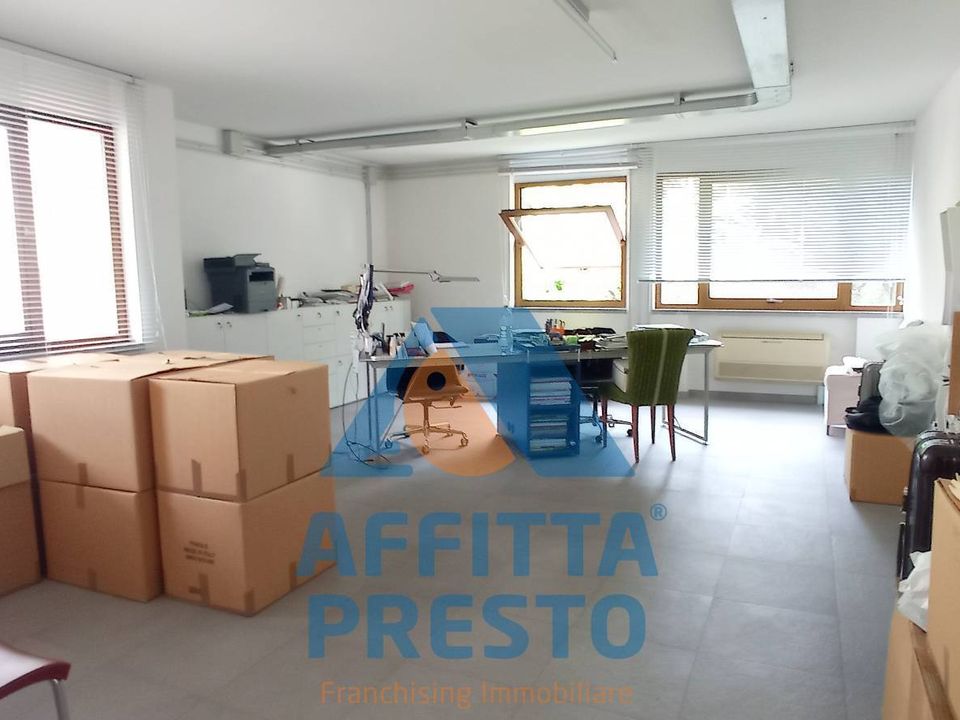 L'establiment comercial a Vinci, Florence - foto 4