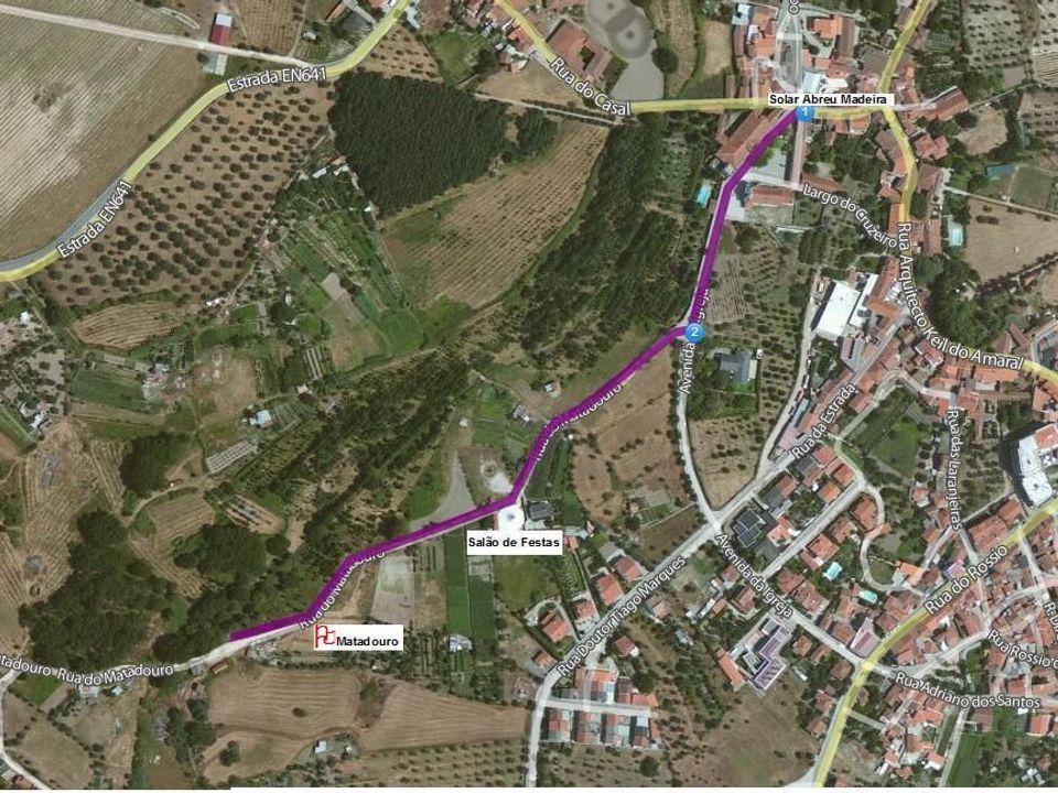 Helårsgrund i Canas de Senhorim, Viseu - foto 1
