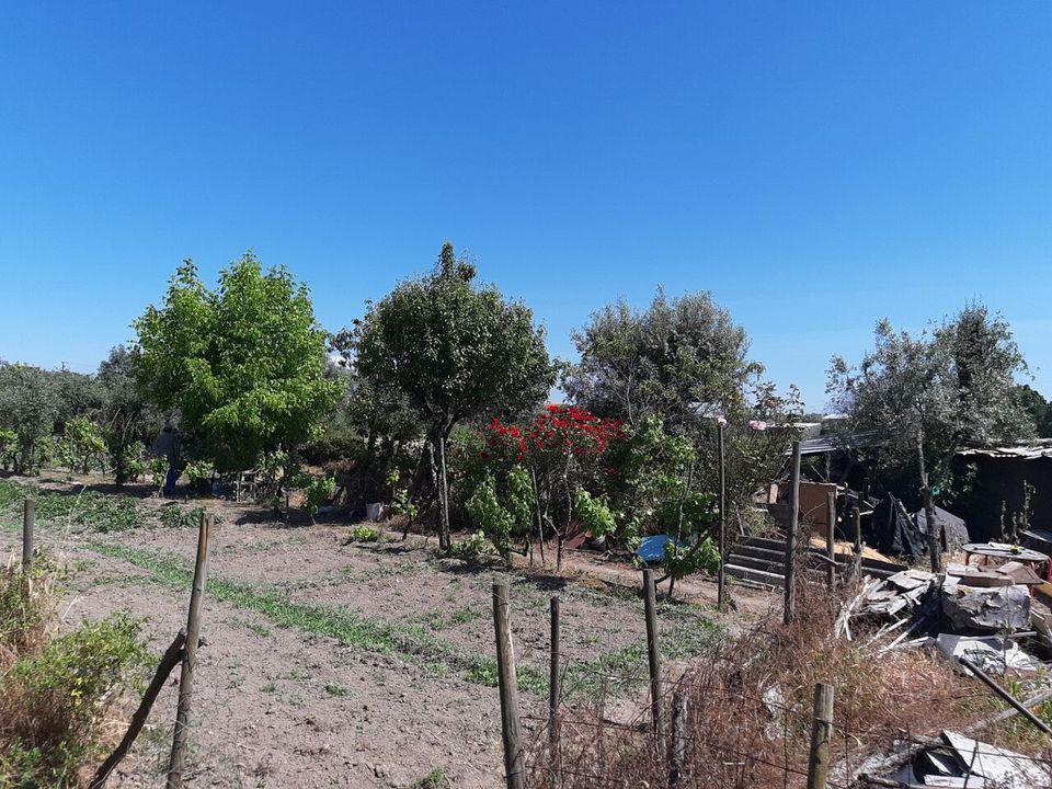Helårsgrund i Canas de Senhorim, Viseu - foto 3