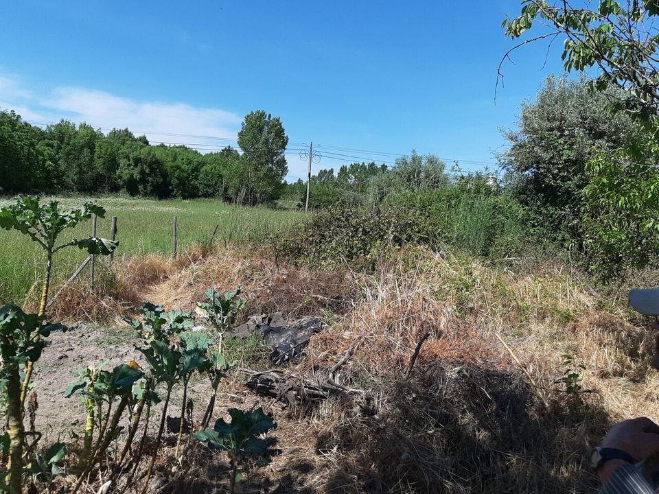 Helårsgrund i Canas de Senhorim, Viseu - foto 1
