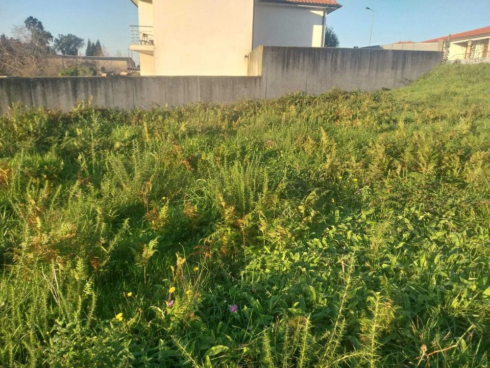 Helårsgrund i Moncao, Viana do Castelo - foto 3